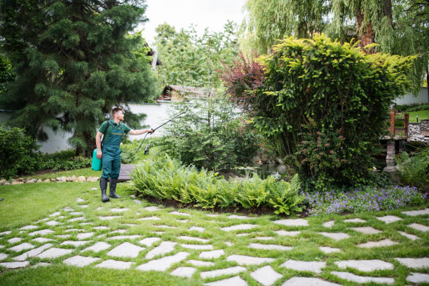Best Commercial Pest Control Services  in Turlock, CA