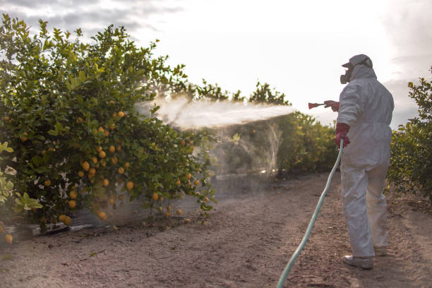 Best Best Pest Control Companies  in Turlock, CA