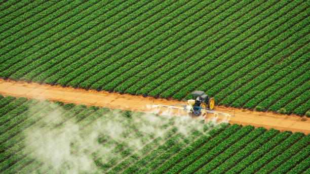 Best Mosquito Control Services  in Turlock, CA