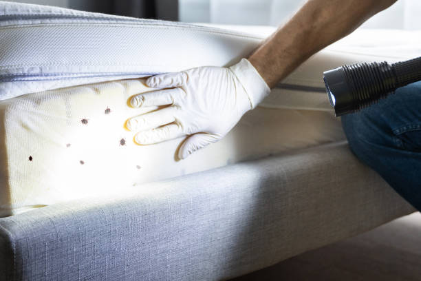 Best Pest Inspection Near Me  in Turlock, CA