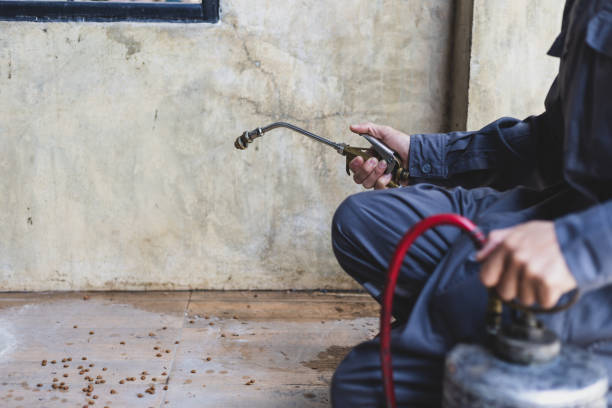 Trusted Turlock, CA Pest Control Experts